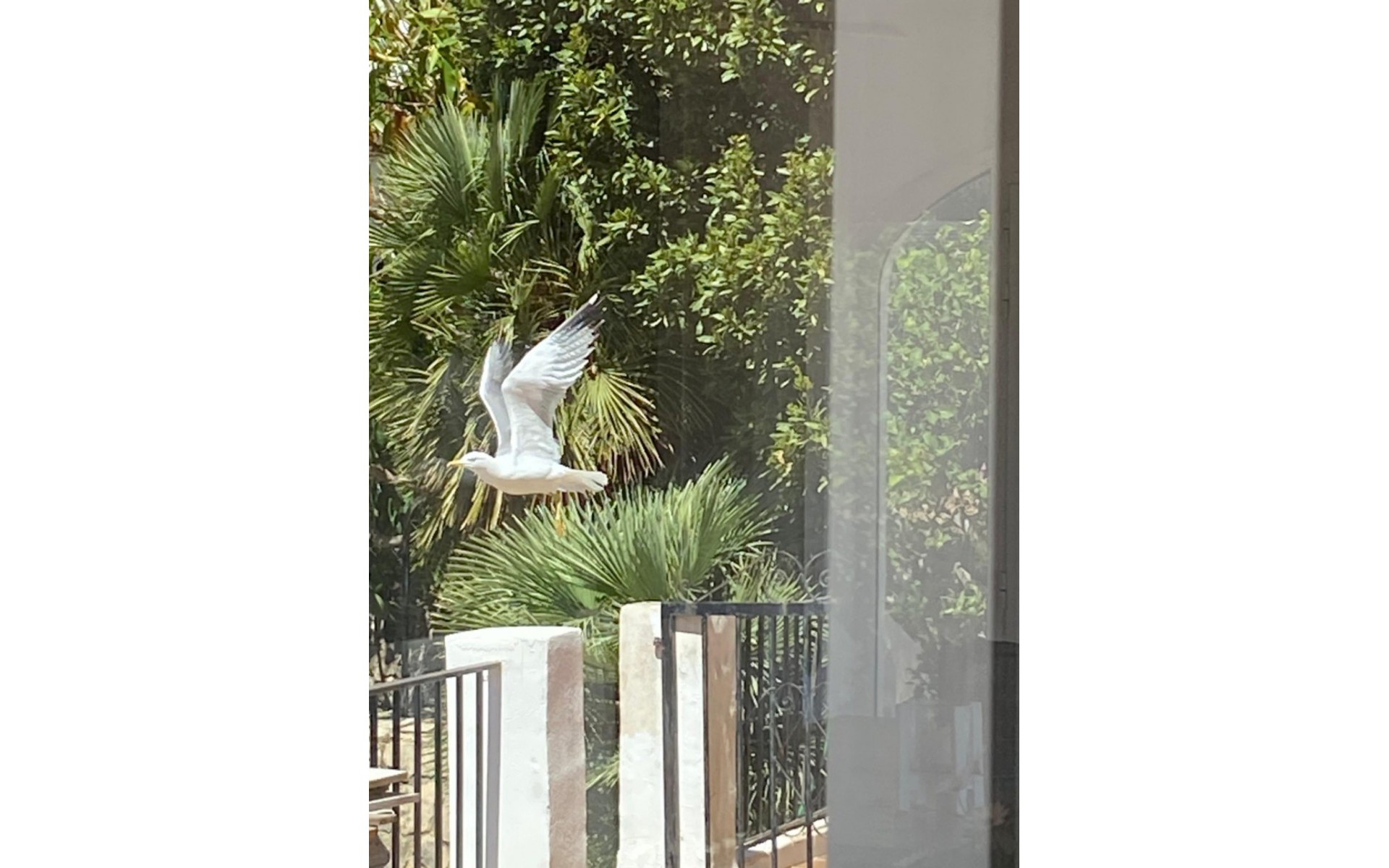 A Vendre - Villa - Dénia - Denia Centro