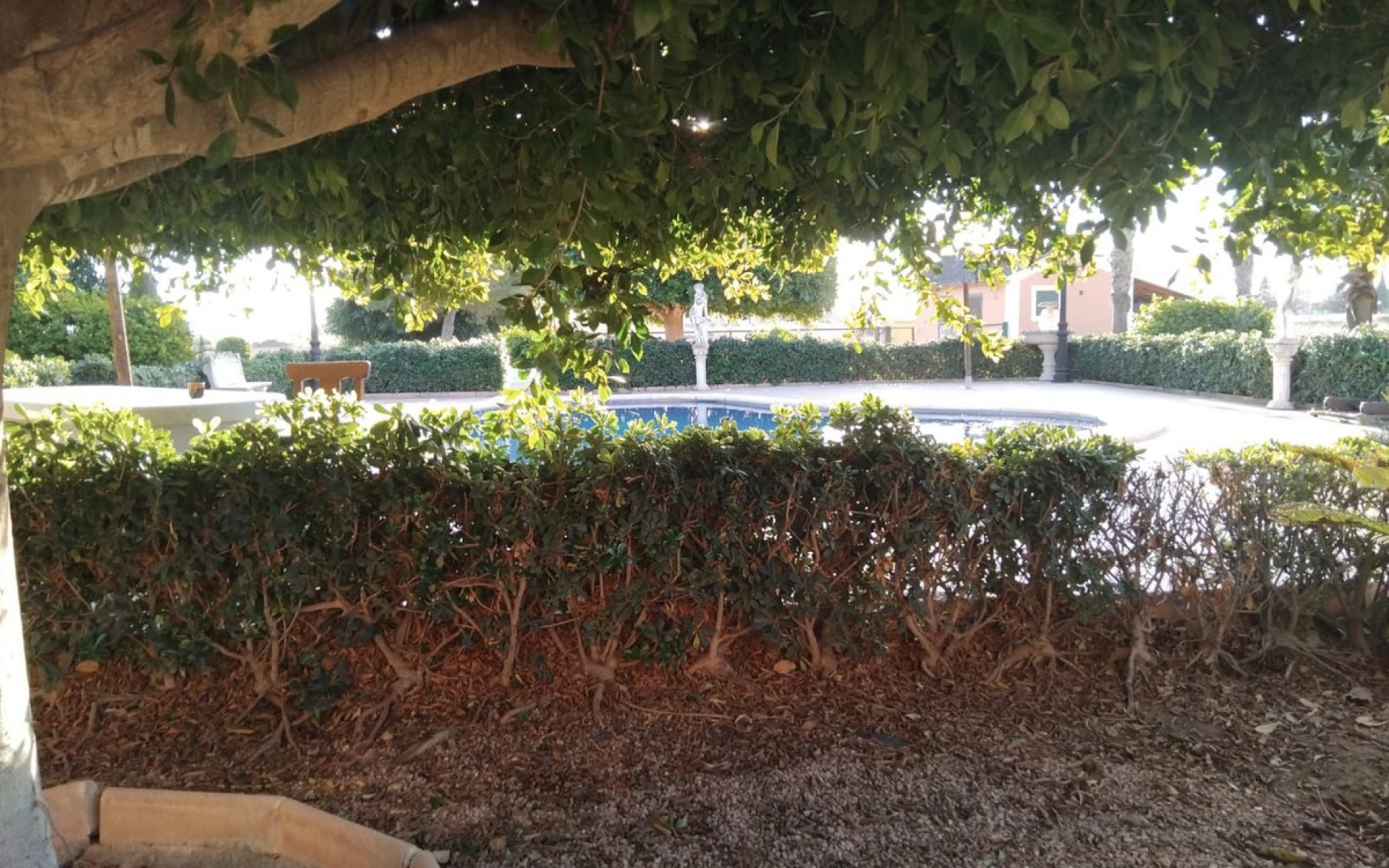 A Vendre - Villa - Dolores - Dolores Centro