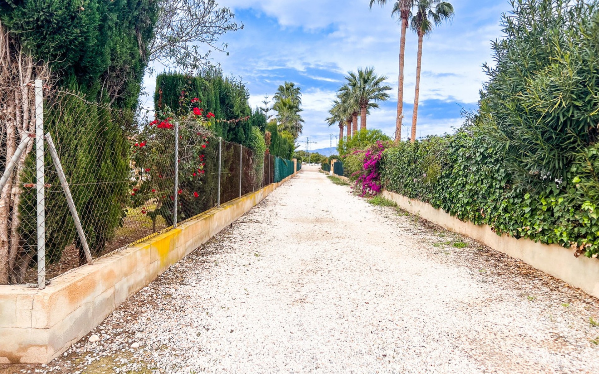 A Vendre - Villa - Dolores - Dolores Centro