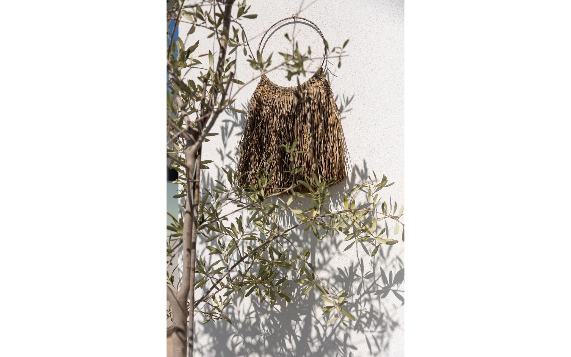 A Vendre - Villa - Dolores - Dolores Centro