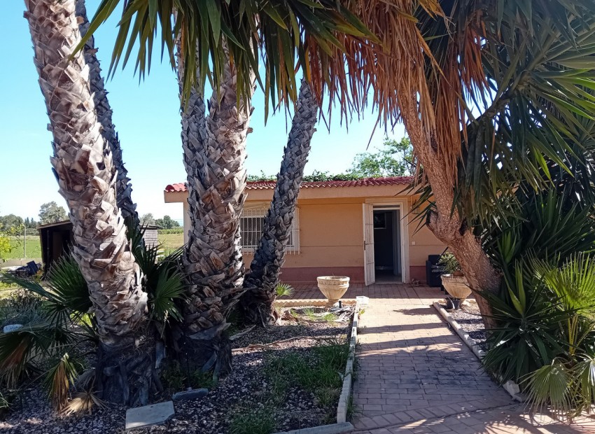 A Vendre - Villa - Dolores - Dolores Centro