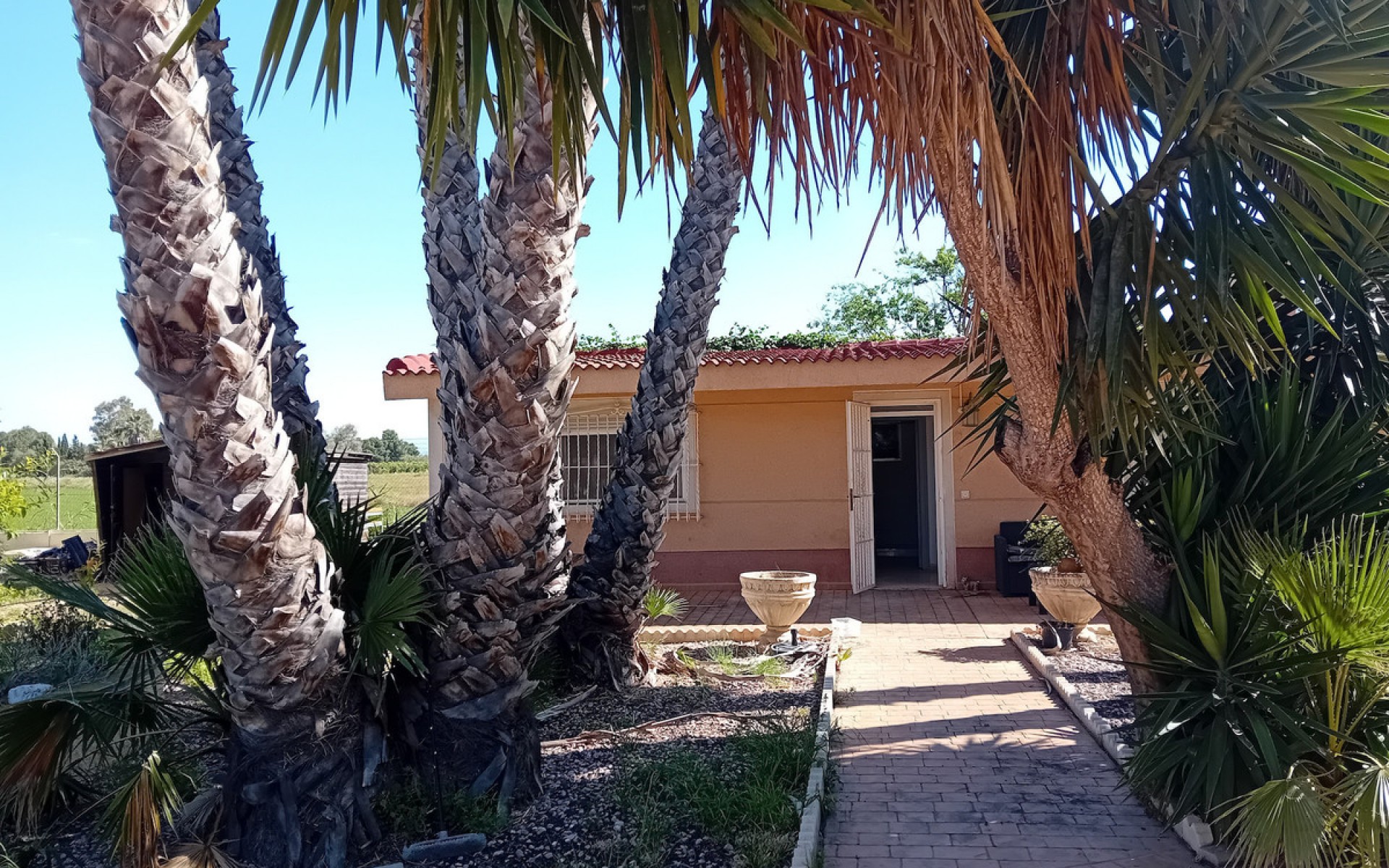 A Vendre - Villa - Dolores - Dolores Centro