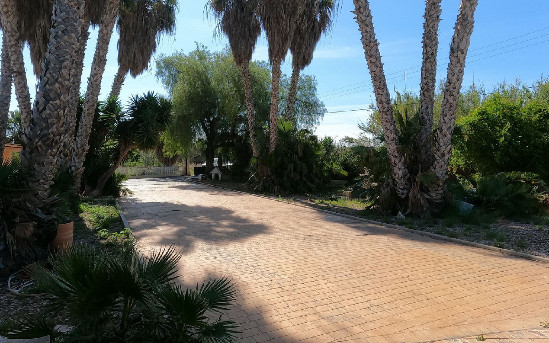 A Vendre - Villa - Dolores - Dolores Centro