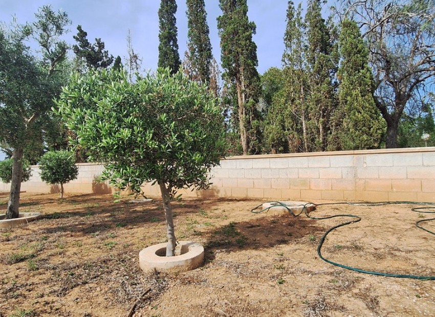 A Vendre - Villa - Elche - Elche Centro