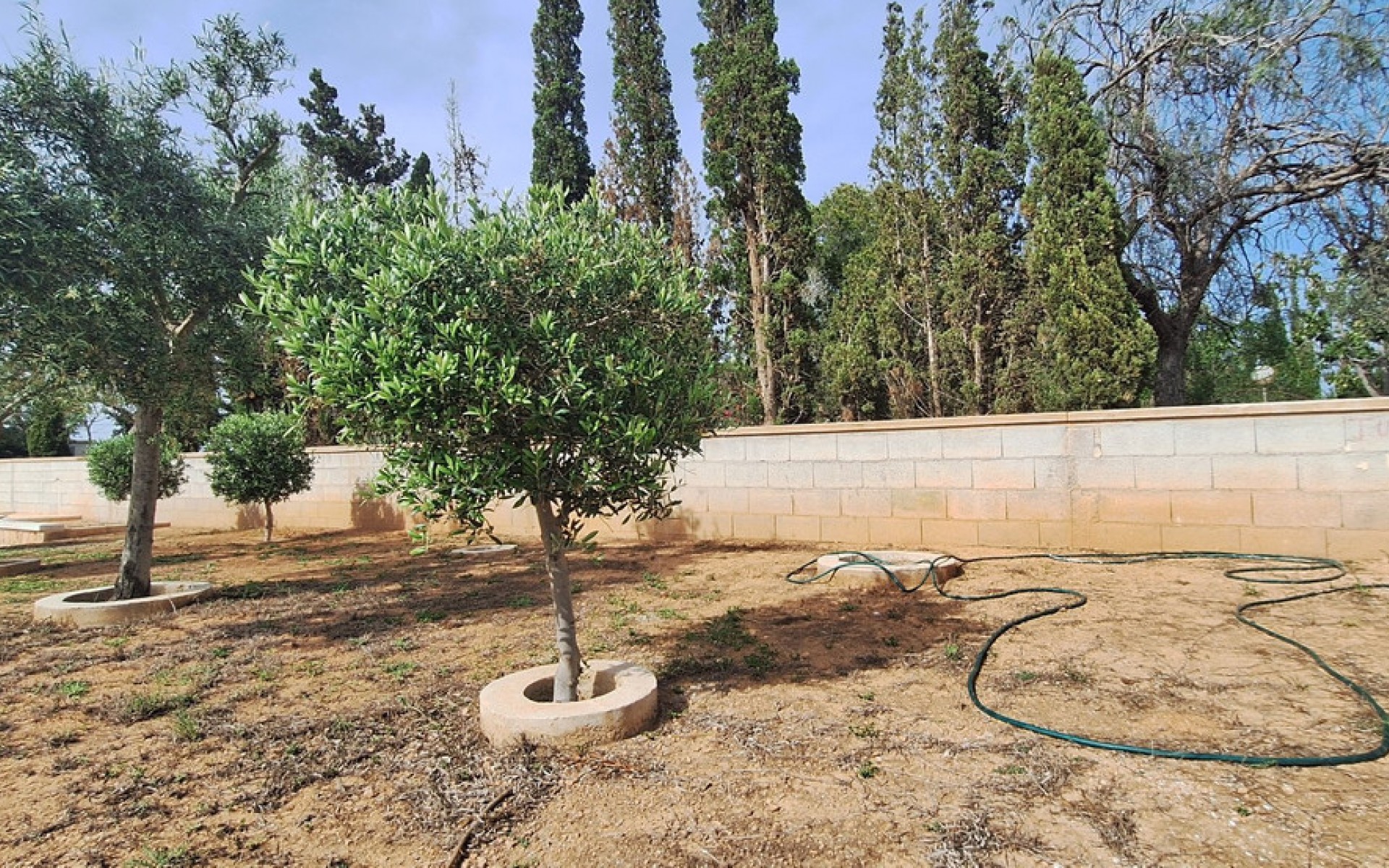 A Vendre - Villa - Elche - Elche Centro