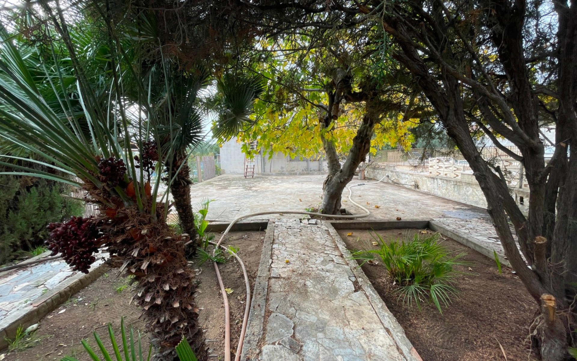 A Vendre - Villa - Elche - Elche Centro