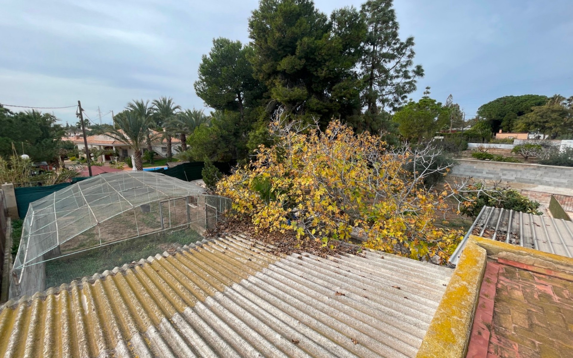 A Vendre - Villa - Elche - Elche Centro