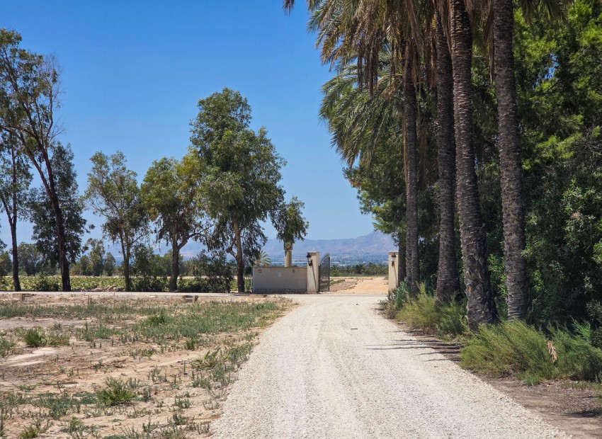 A Vendre - Villa - Elche - Elche Centro