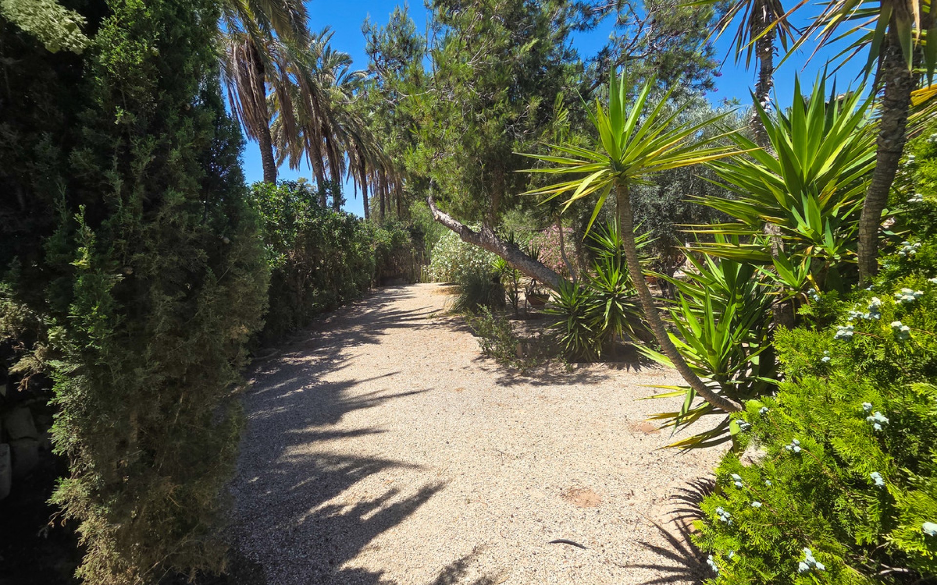 A Vendre - Villa - Elche - Elche Centro