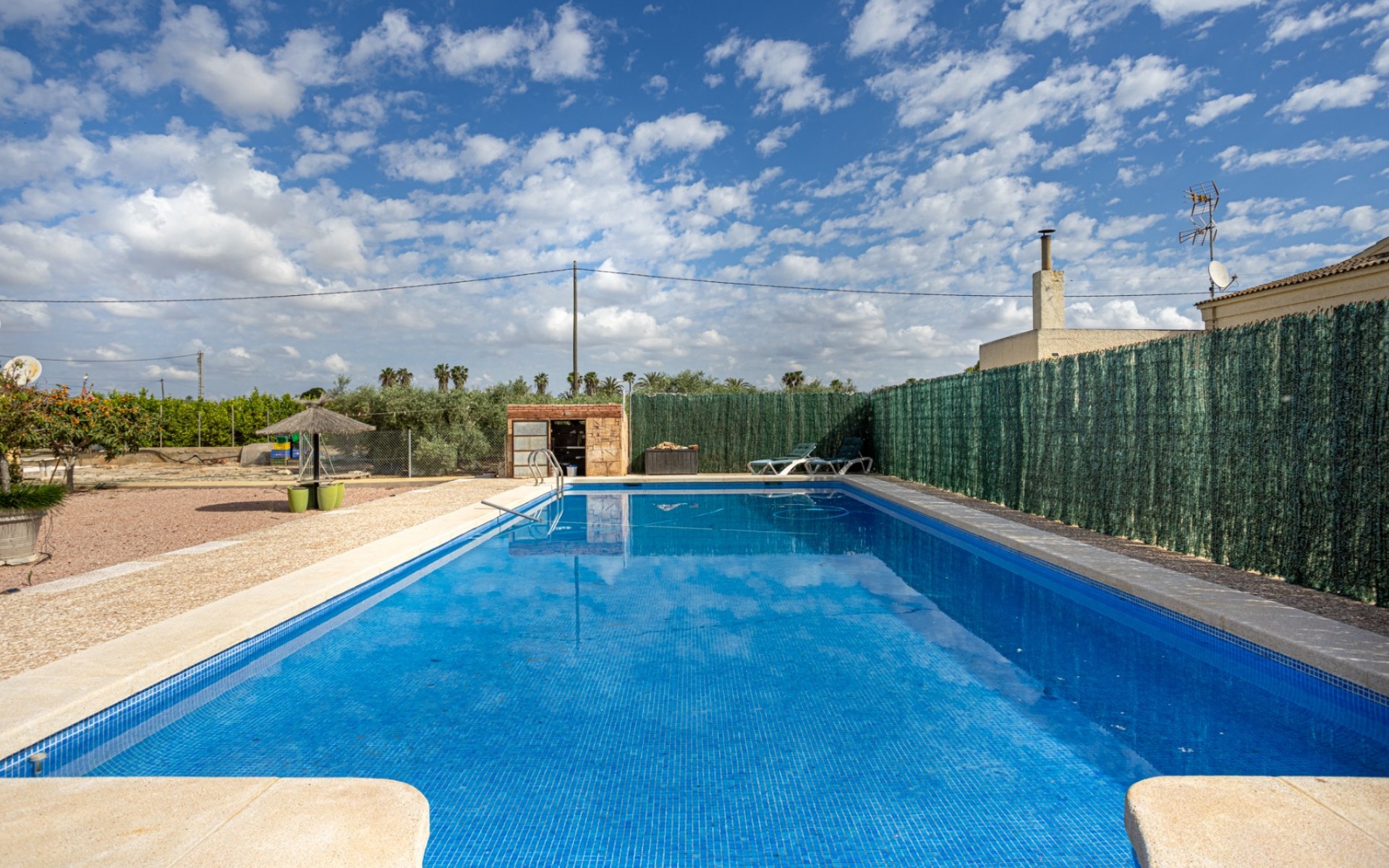 A Vendre - Villa - Elche - La Hoya