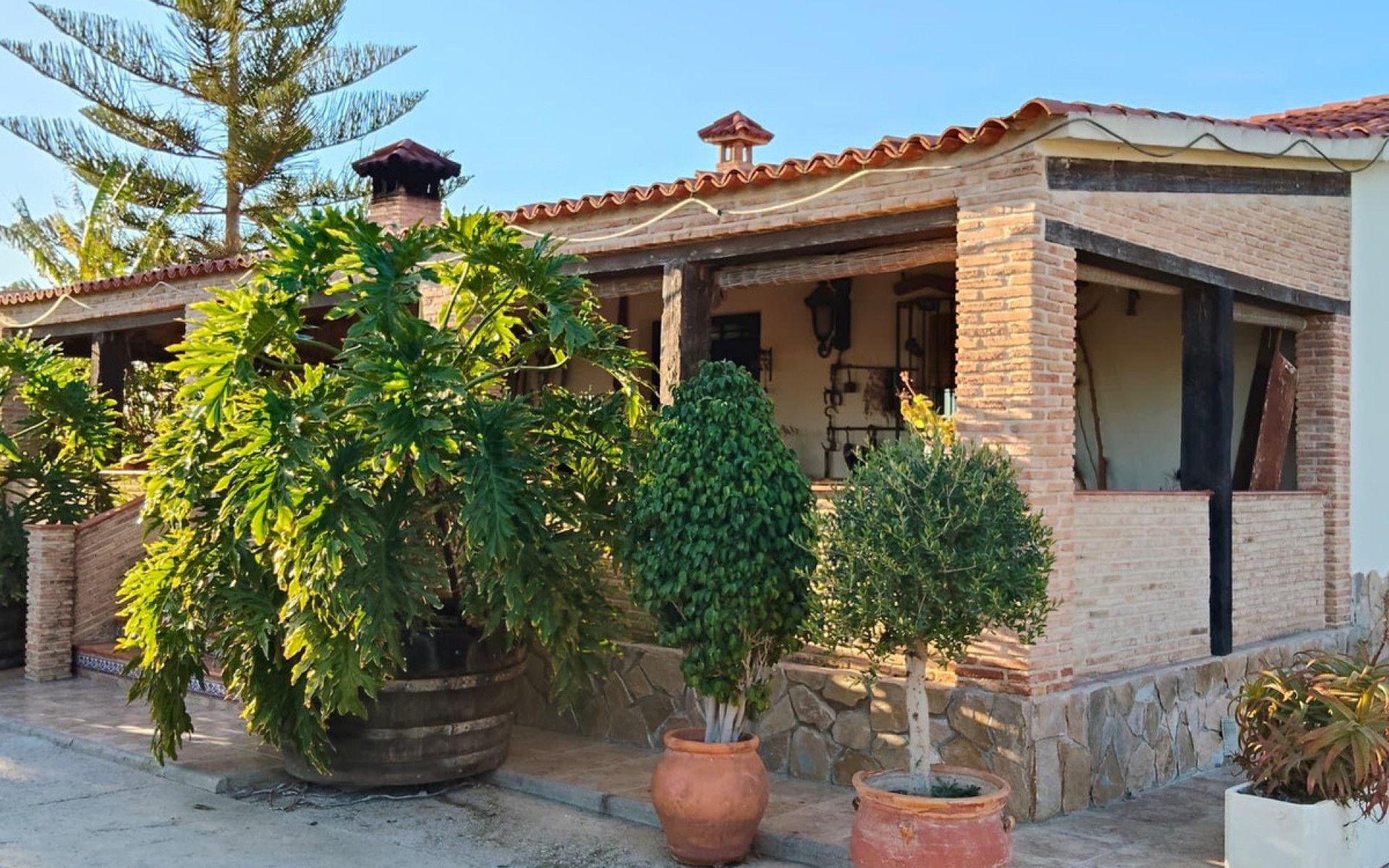 A Vendre - Villa - Elche - Las Bayas