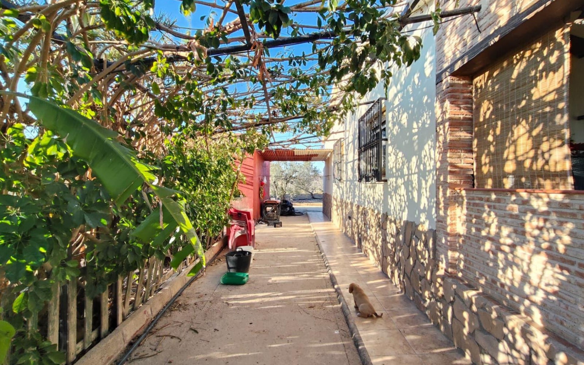 A Vendre - Villa - Elche - Las Bayas