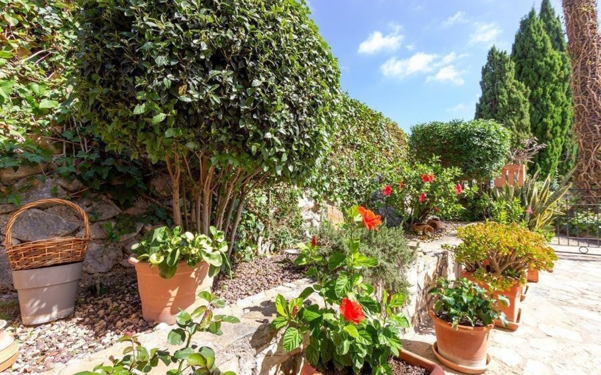 A Vendre - Villa - Finestrat