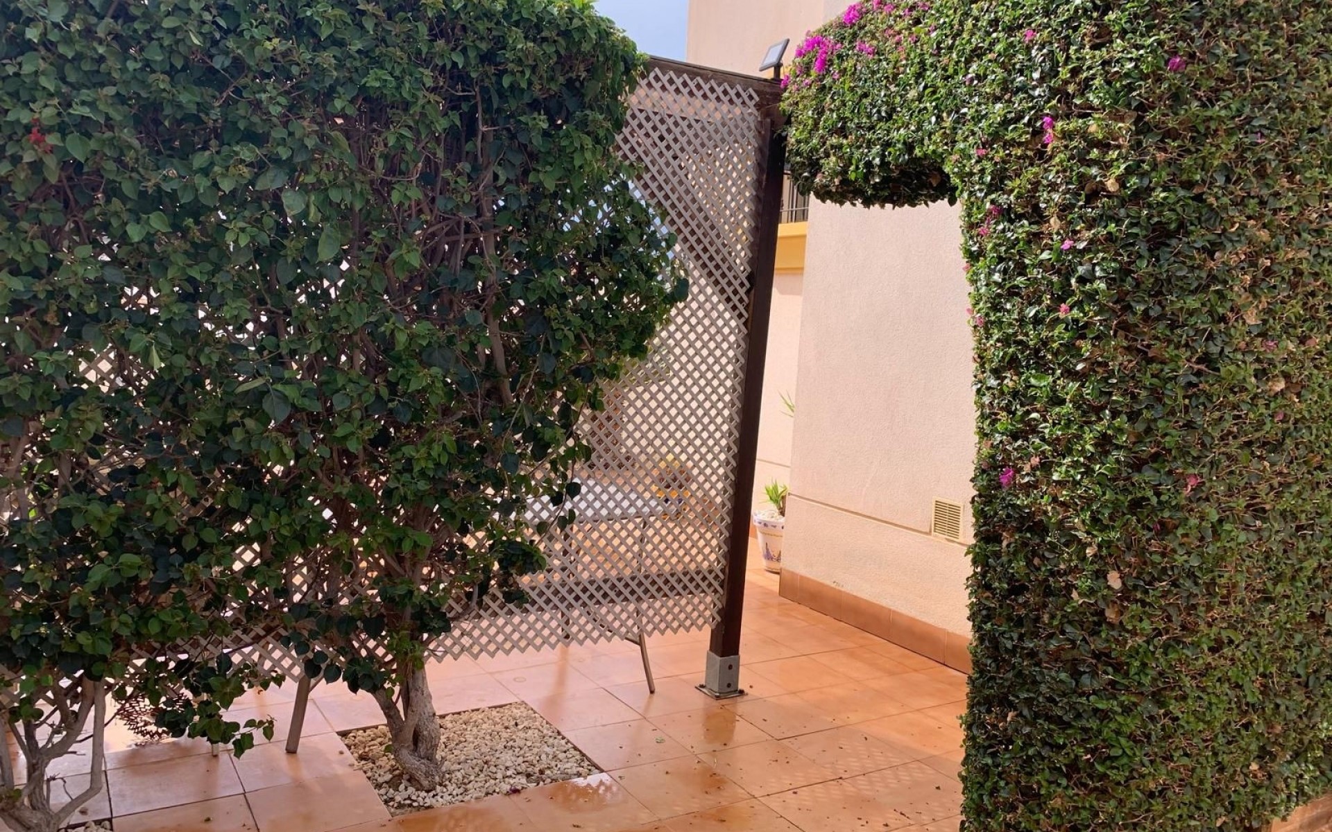 A Vendre - Villa - Guardamar Del Segura - El Raso