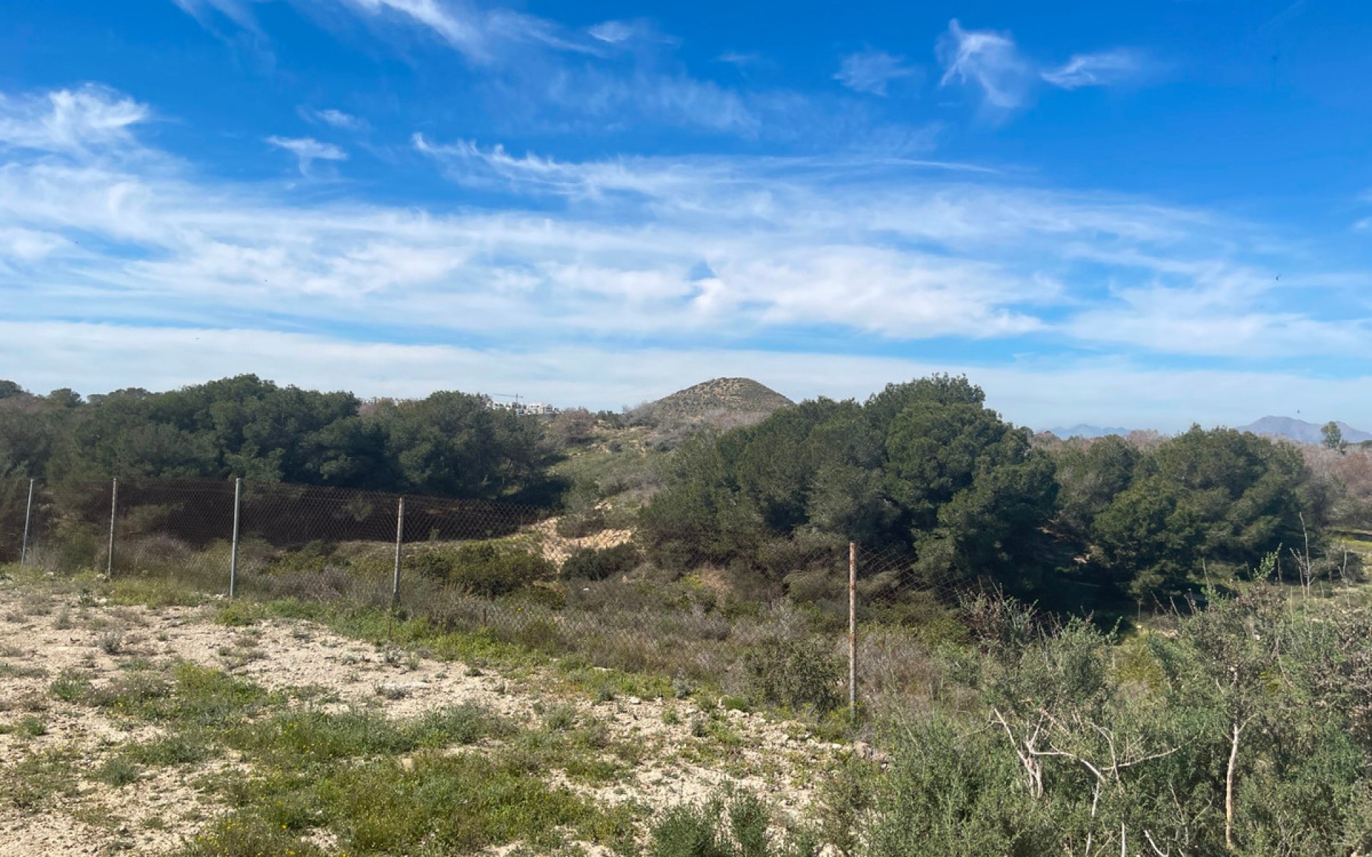 A Vendre - Villa - Guardamar Del Segura - Guardamar del Segura Centro