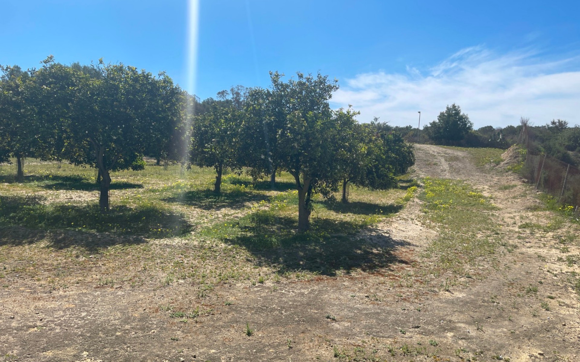 A Vendre - Villa - Guardamar Del Segura - Guardamar del Segura Centro