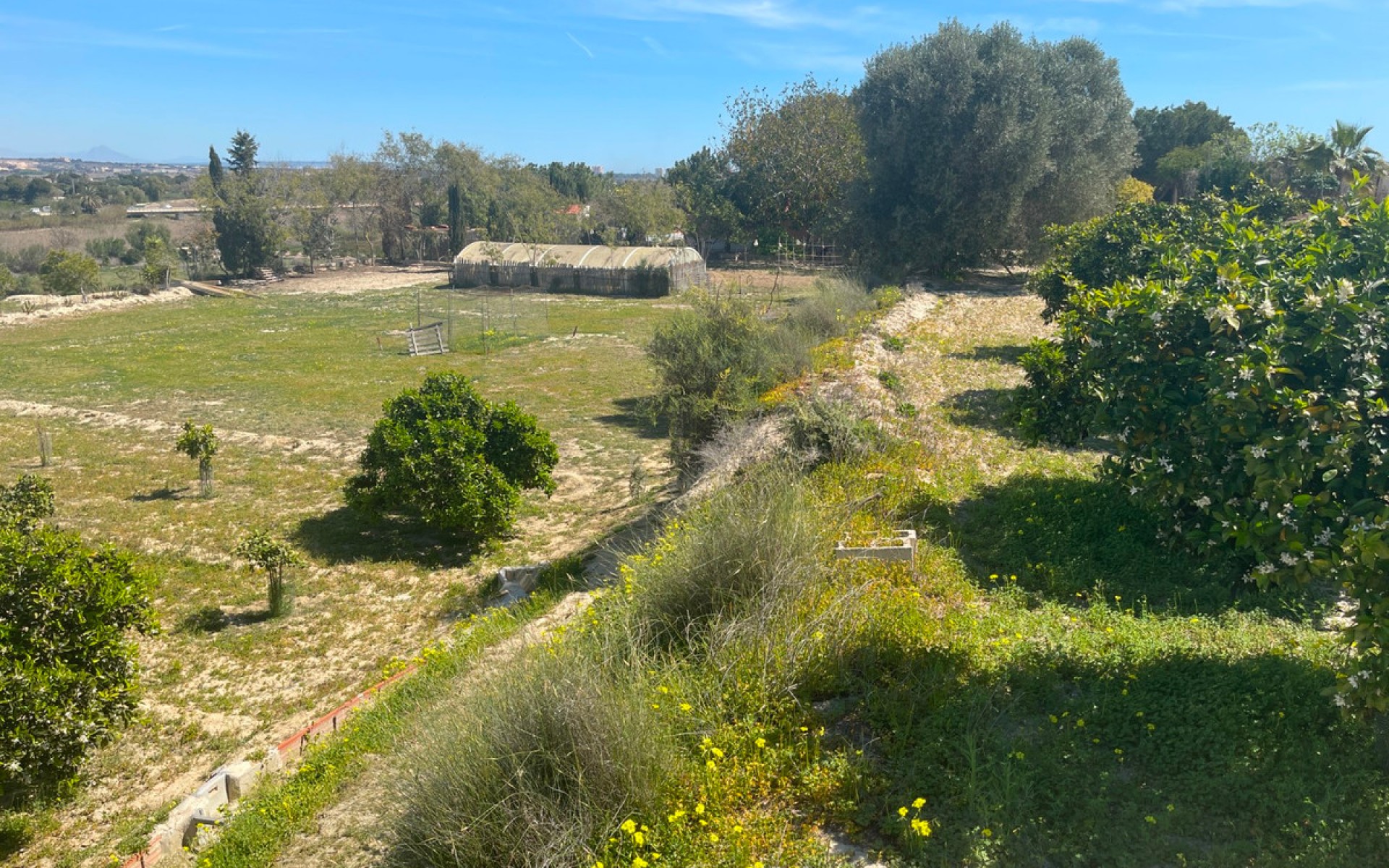 A Vendre - Villa - Guardamar Del Segura - Guardamar del Segura Centro