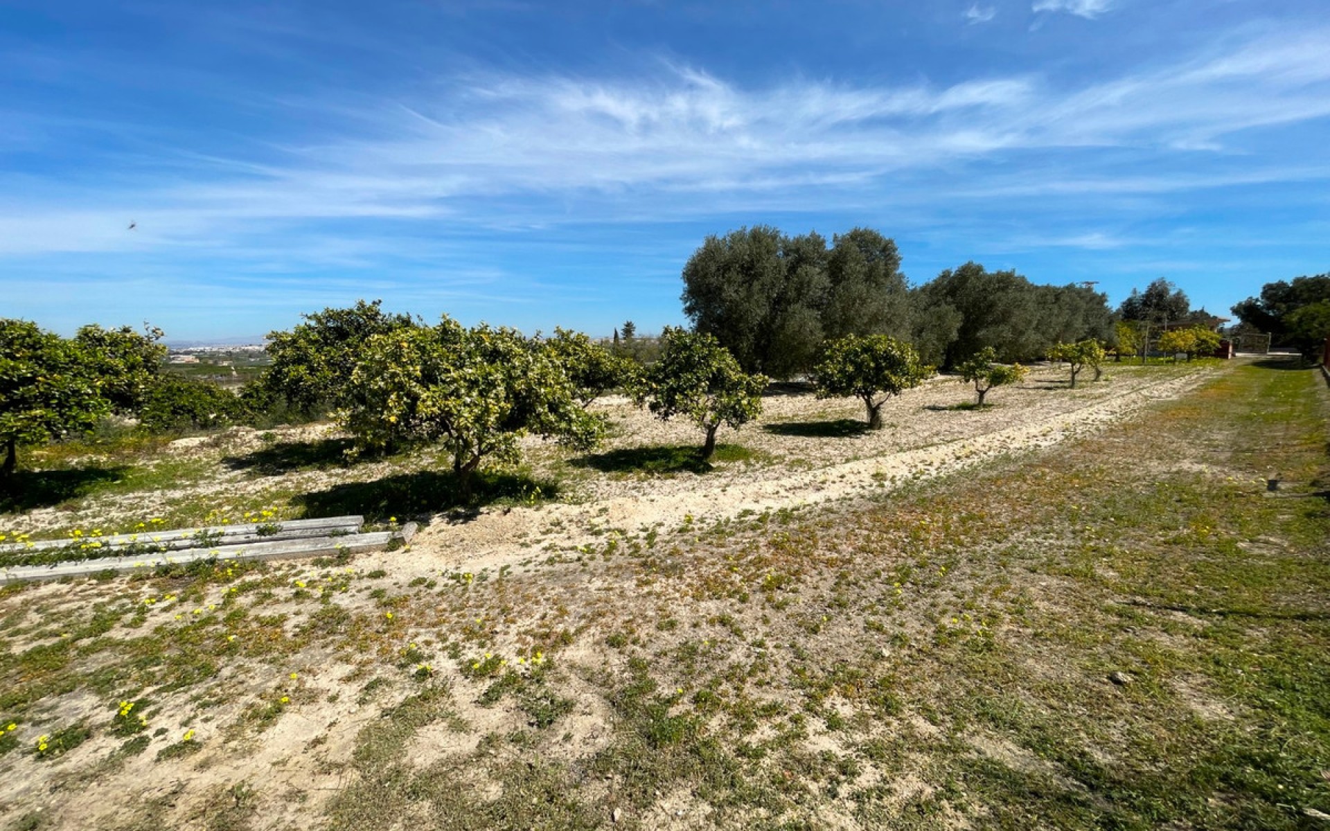 A Vendre - Villa - Guardamar Del Segura - Guardamar del Segura Centro