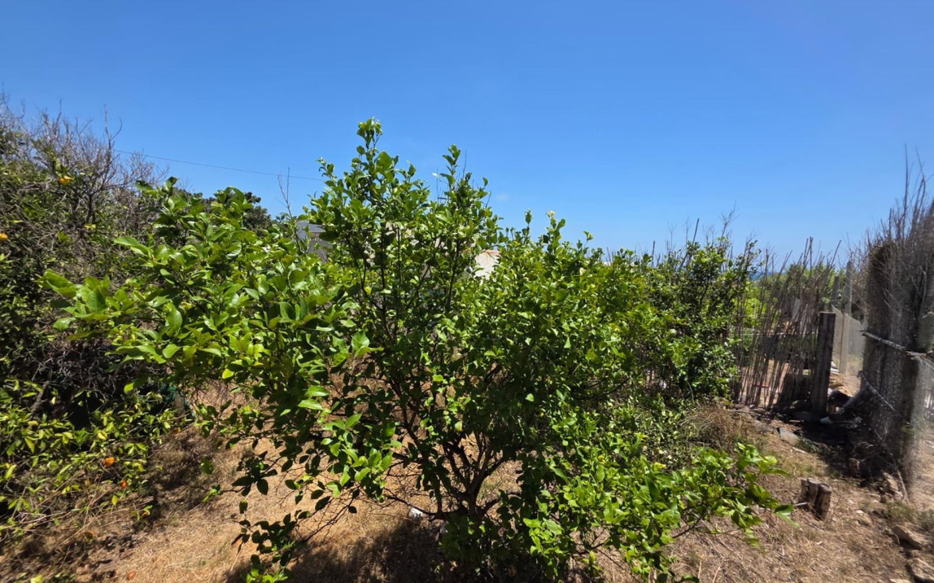 A Vendre - Villa - Guardamar Del Segura - Guardamar del Segura Centro