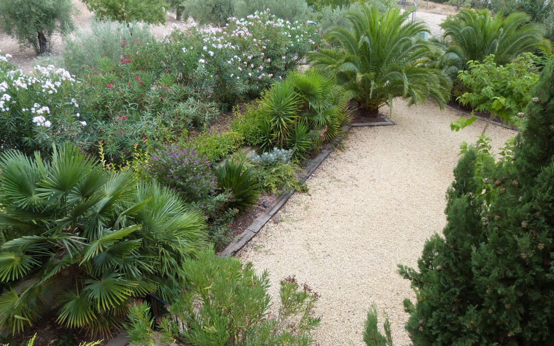 A Vendre - Villa - Ibi - Ibi Centro