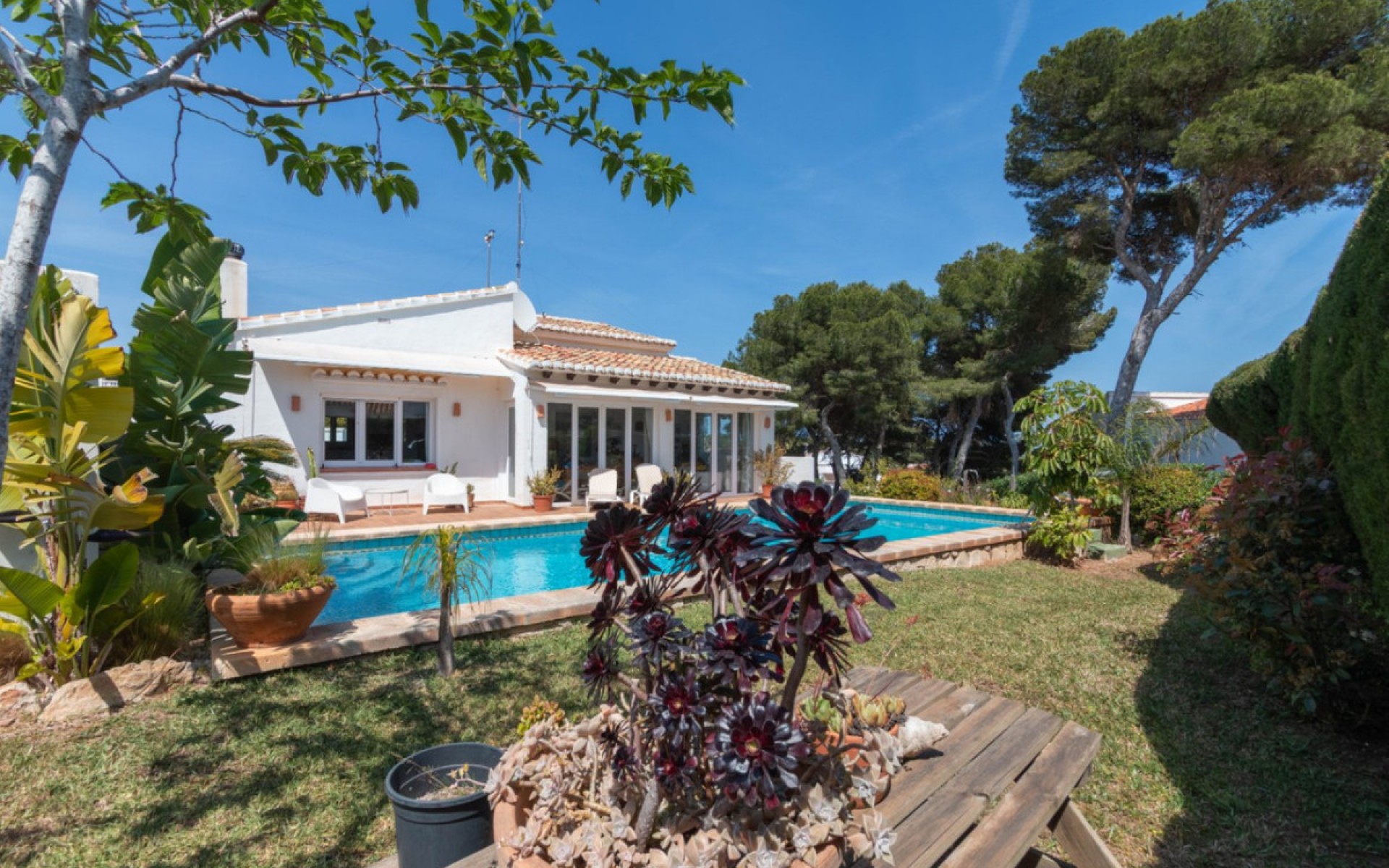 A Vendre - Villa - Javea - Jávea - Xàbia Centro