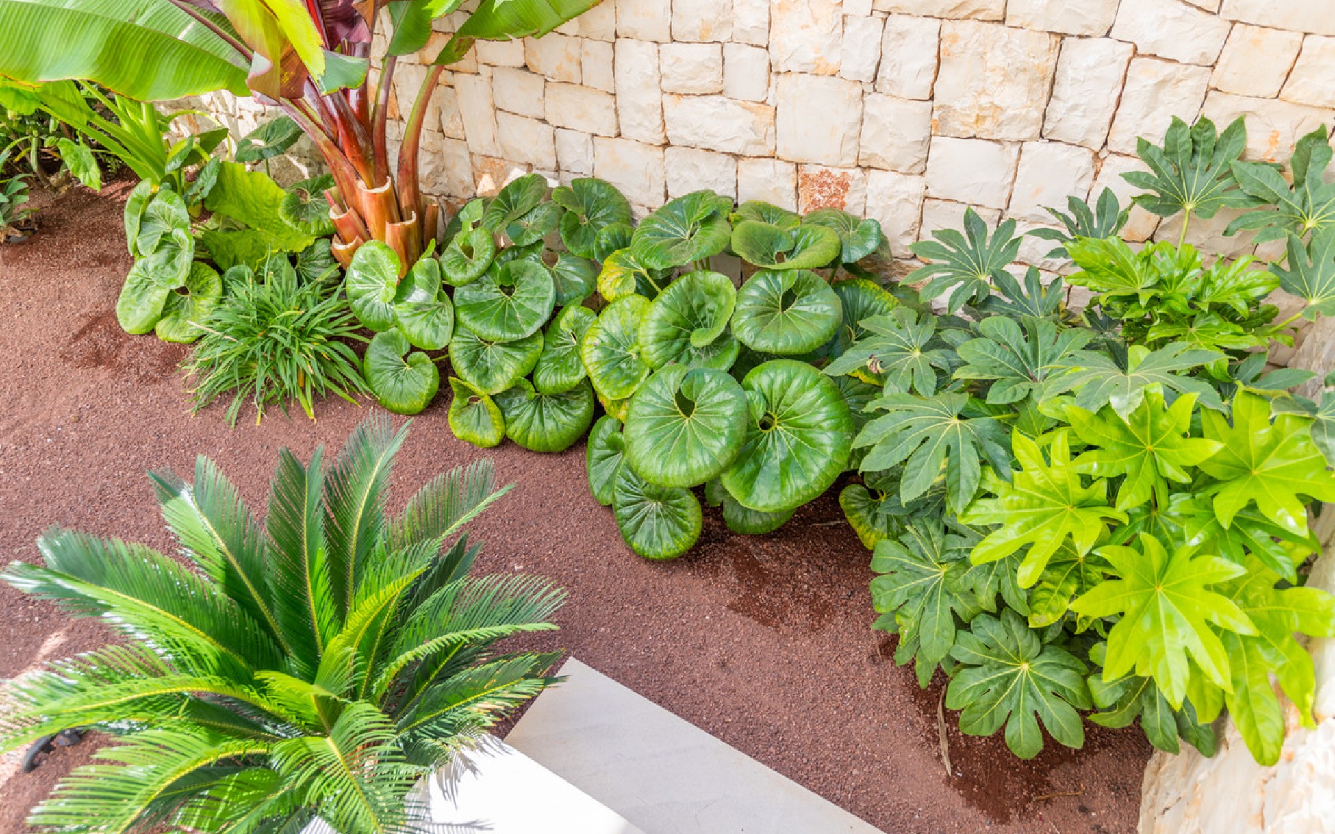 A Vendre - Villa - Jávea - Xàbia - Jávea - Xàbia Centro