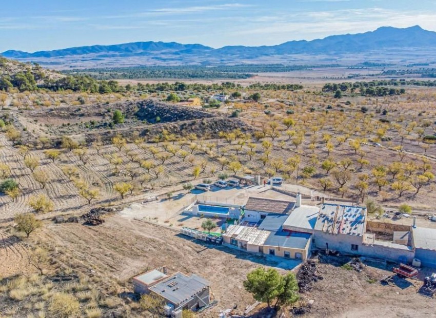 A Vendre - Villa - Jumilla - Jumilla Centro