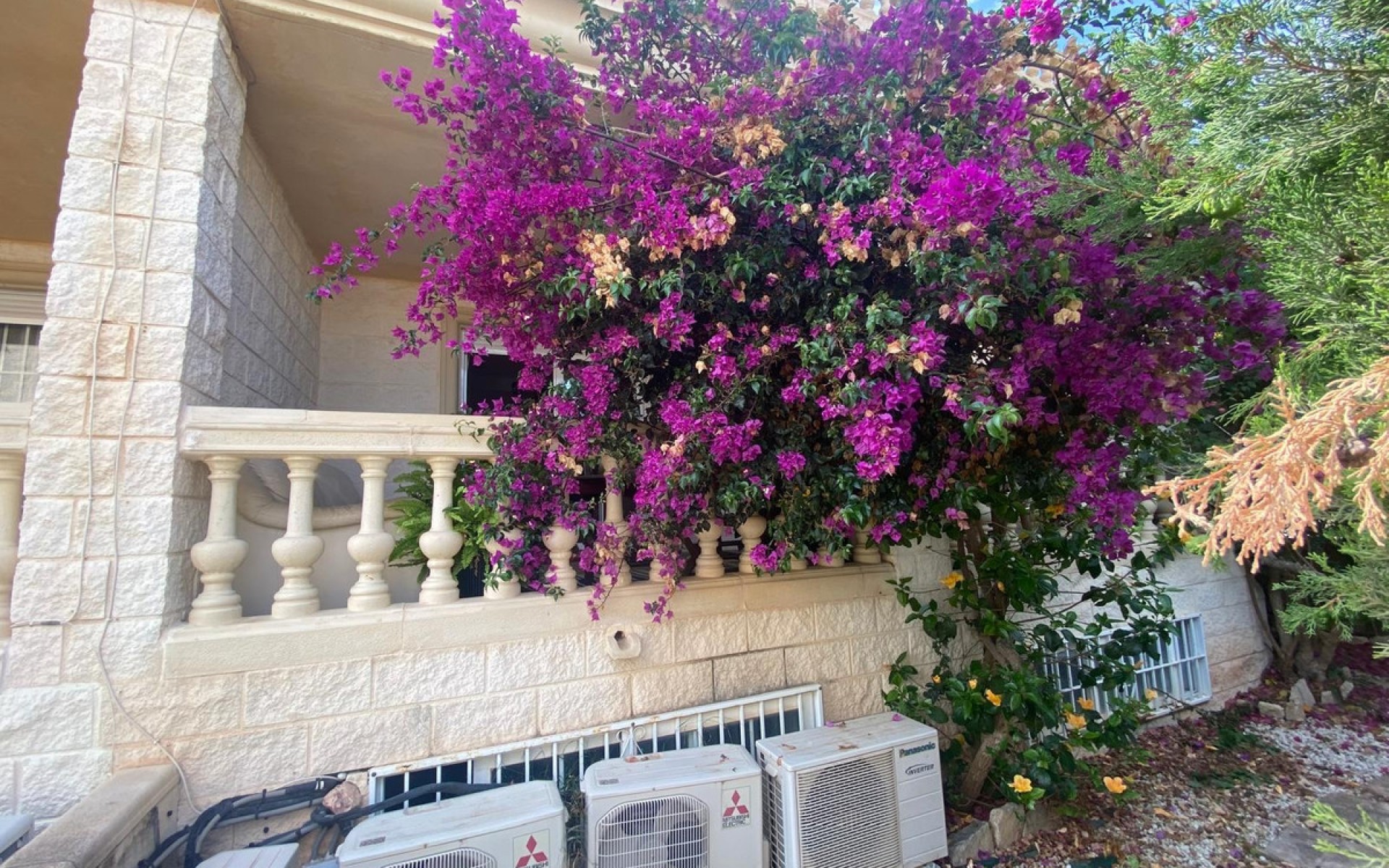 A Vendre - Villa - l'Alfas del Pi - Albir