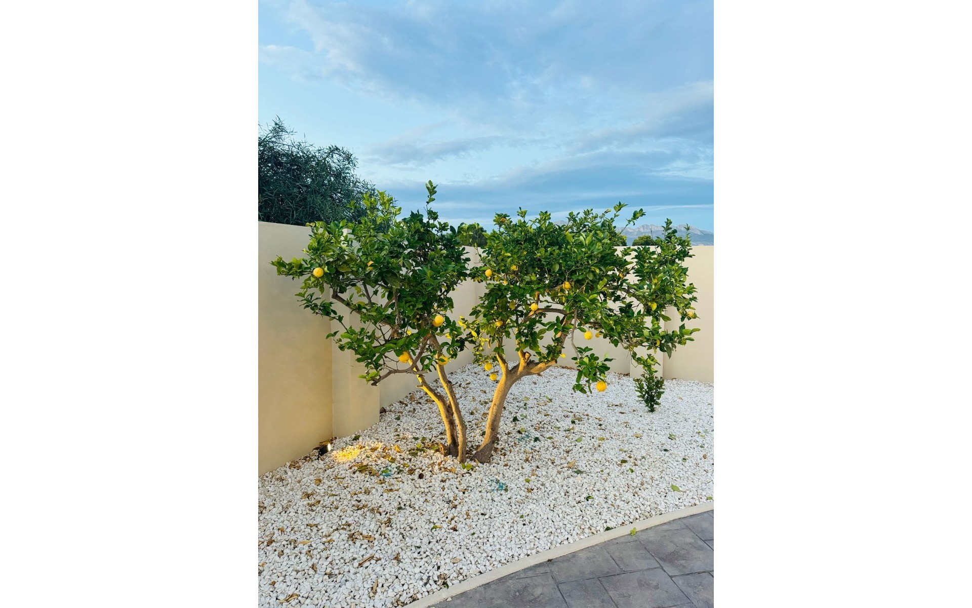 A Vendre - Villa - l'Alfas del Pi - L'Alfás del Pi Centro