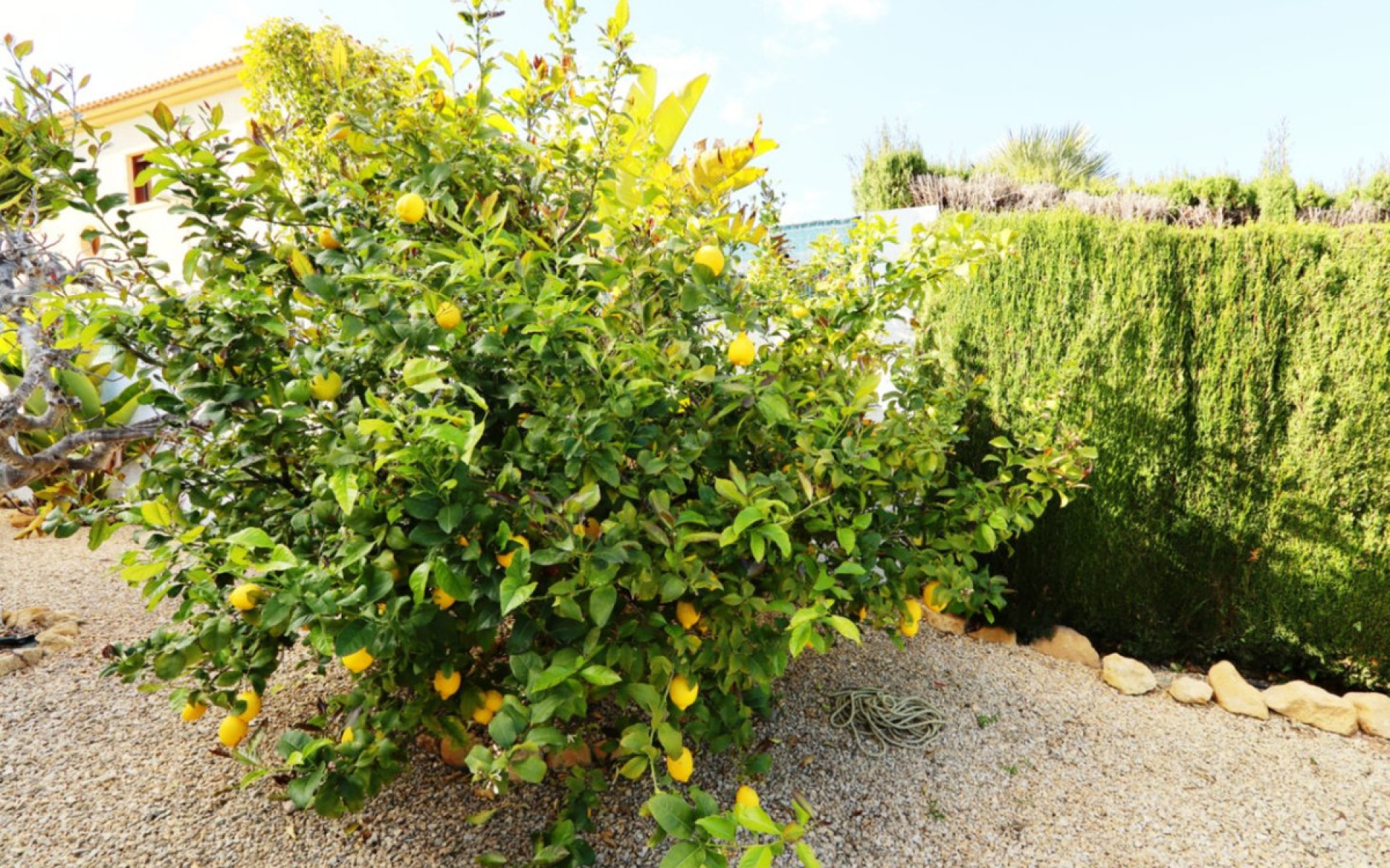 A Vendre - Villa - La Nucia - La Nucia Centro