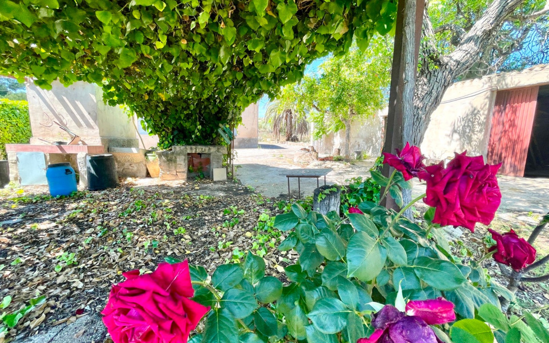 A Vendre - Villa - La Romana - La Romana Centro