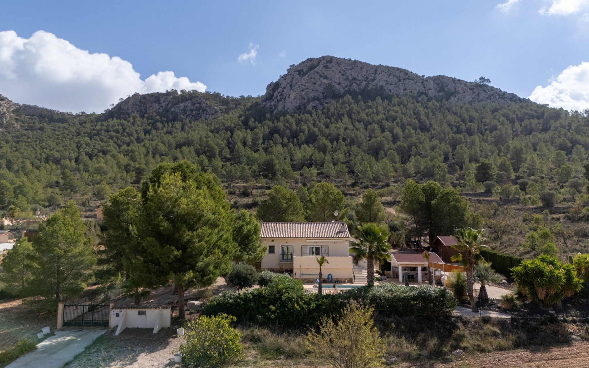 A Vendre - Villa - La Zarza
