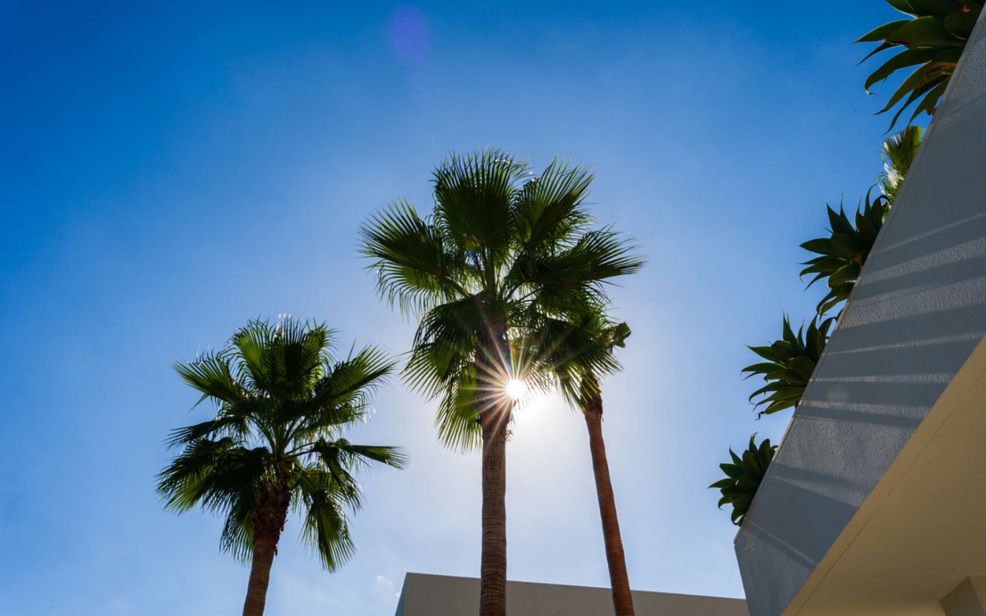 A Vendre - Villa - Las Colinas - Las Colinas Golf Resort