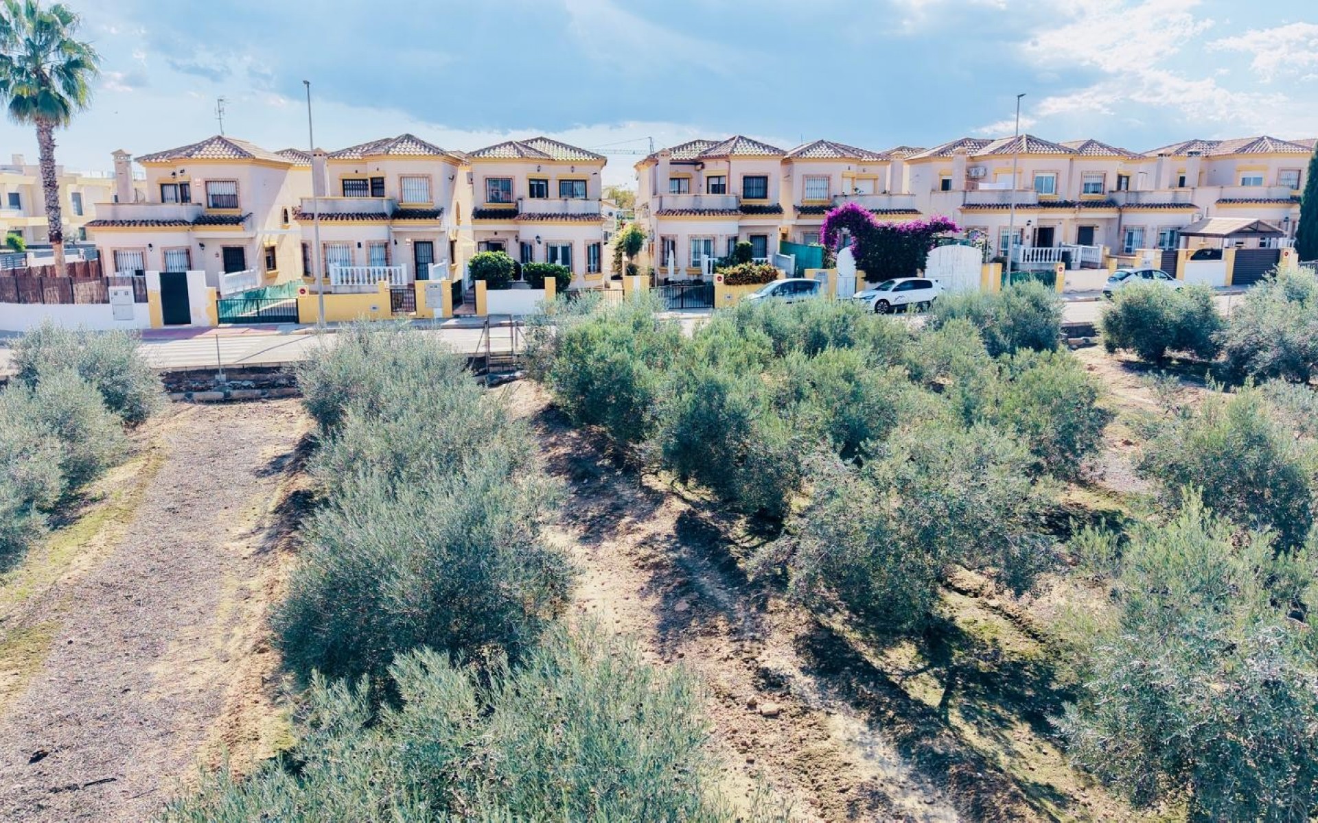 A Vendre - Villa - Los Montesinos - La Herada