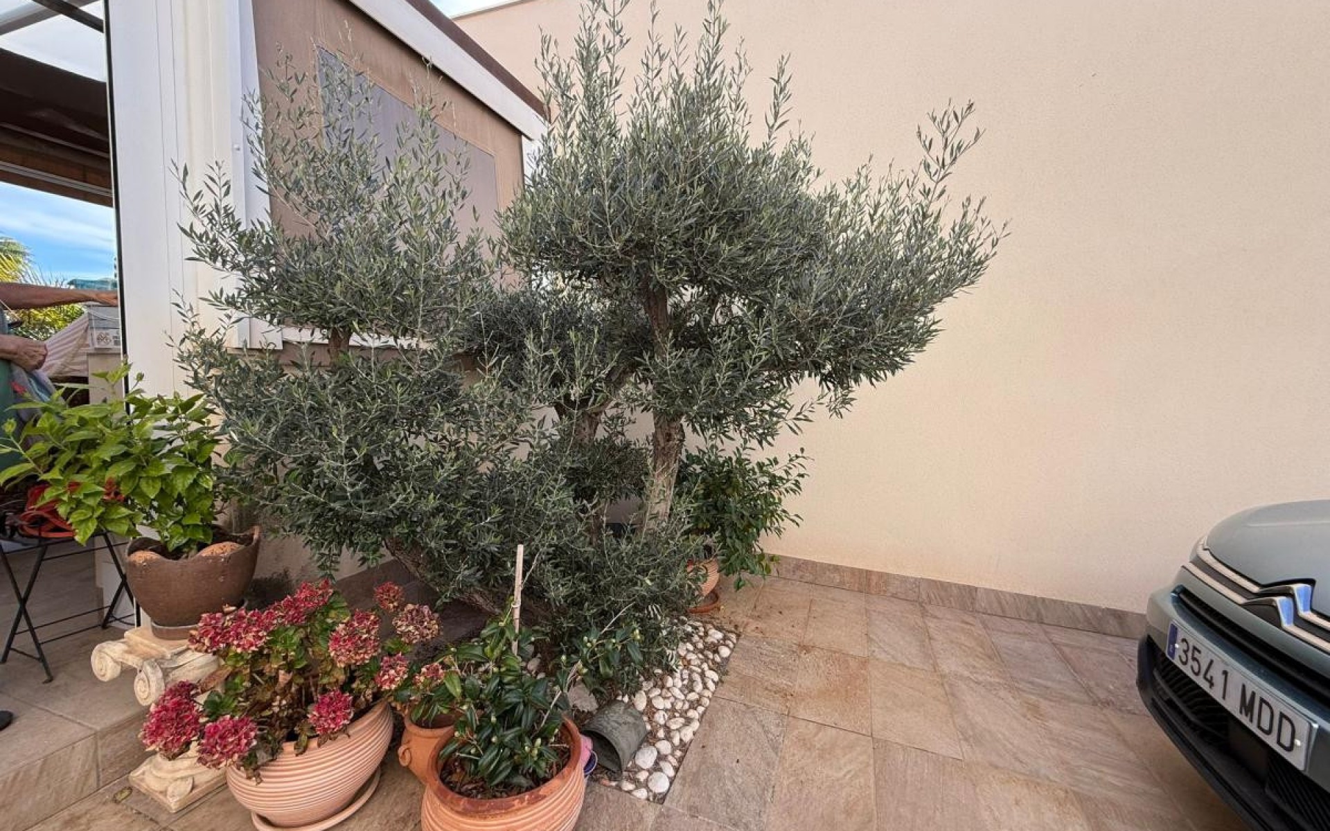 A Vendre - Villa - Los Montesinos - Los Montesinos Centro