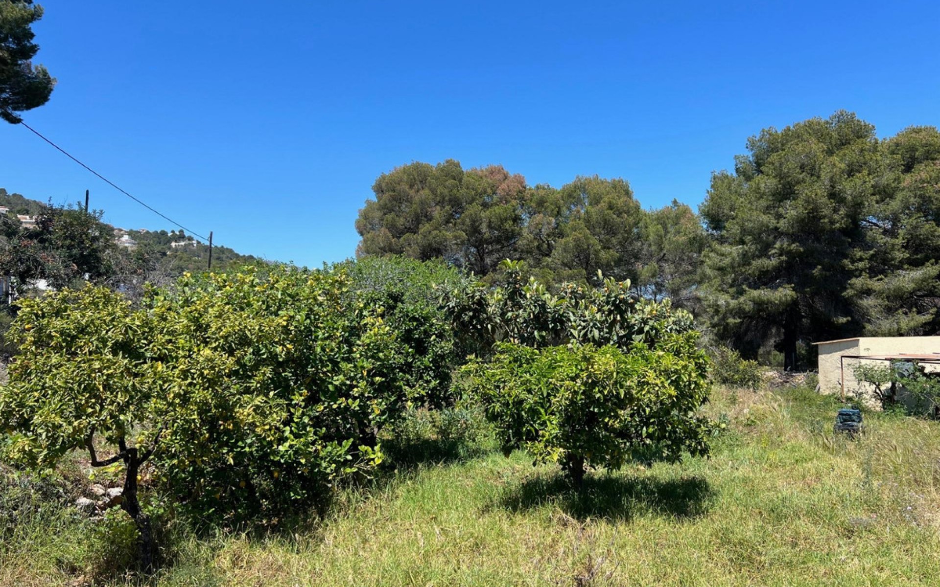 A Vendre - Villa - Novelda - Estación