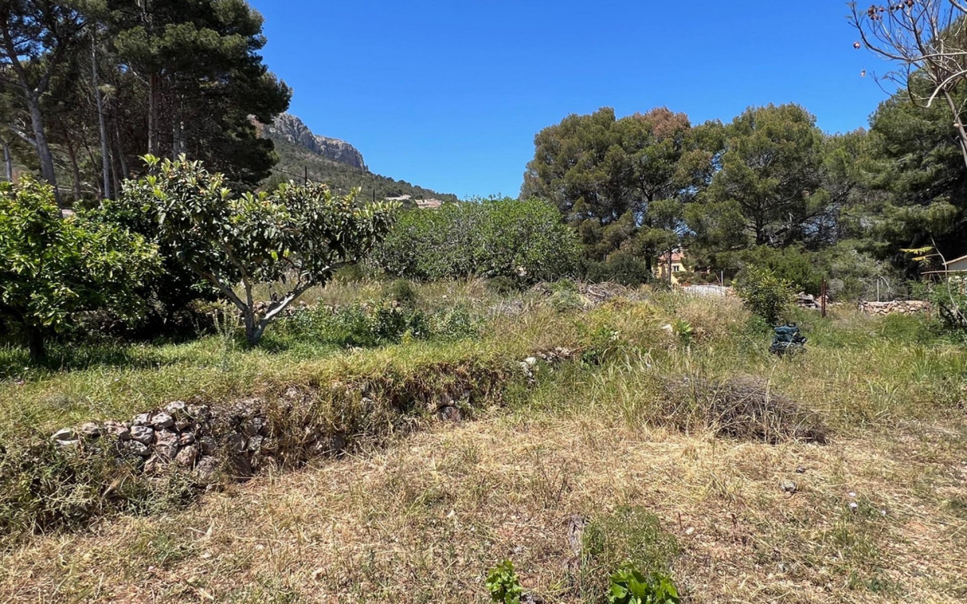 A Vendre - Villa - Novelda - Estación