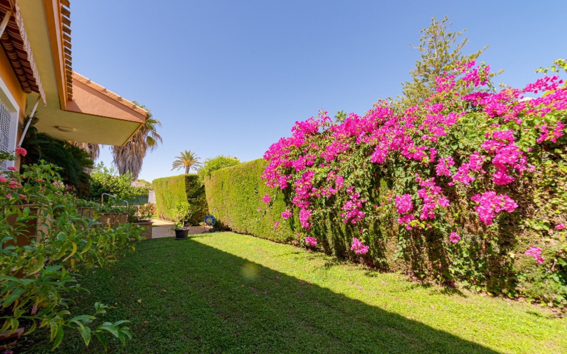 A Vendre - Villa - Orihuela - Campoamor