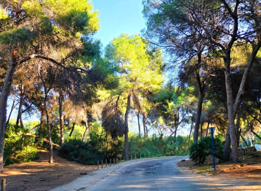 A Vendre - Villa - Orihuela - Campoamor