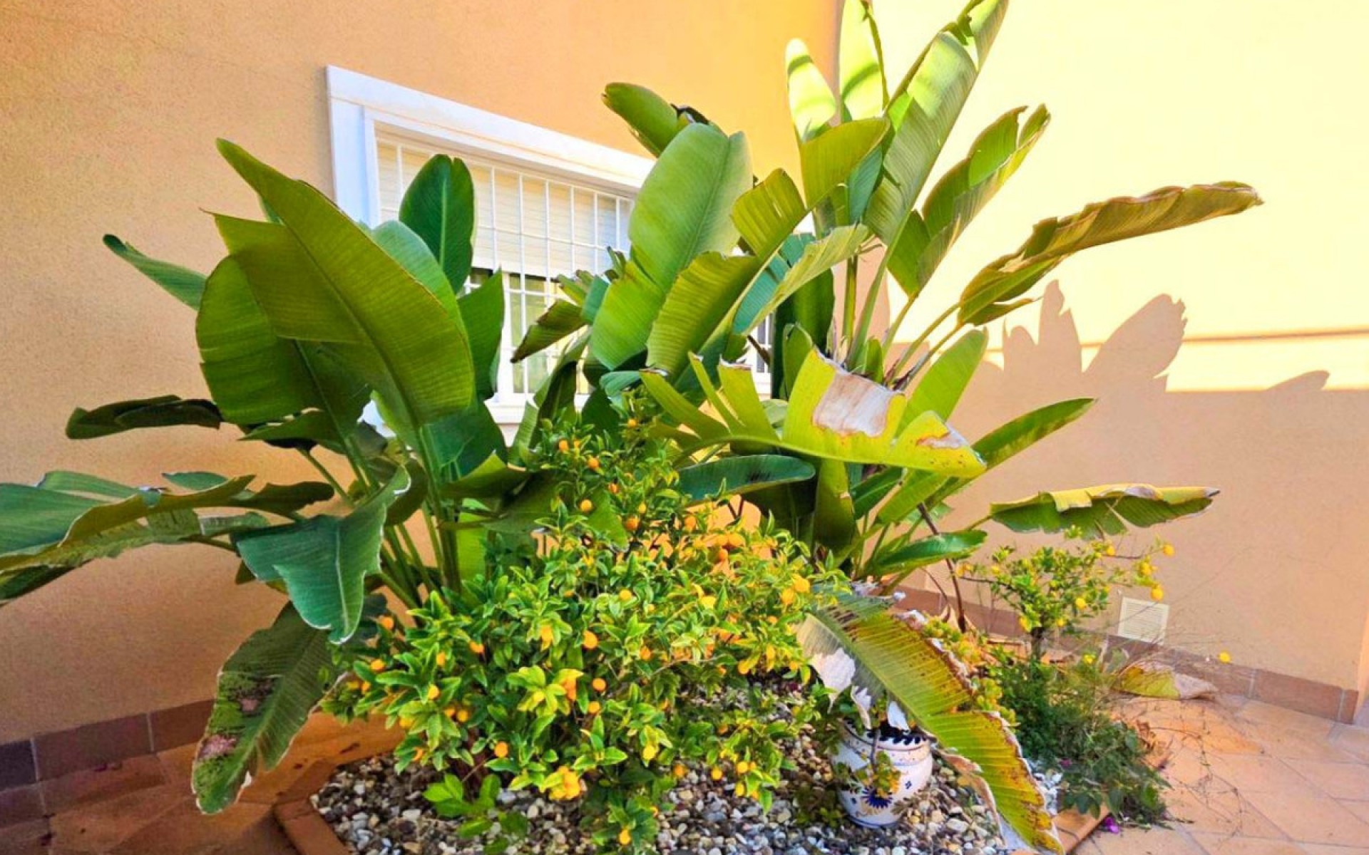 A Vendre - Villa - Orihuela - Campoamor