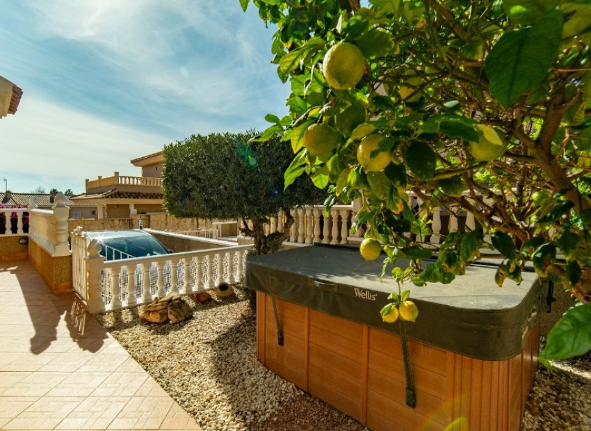 A Vendre - Villa - Orihuela - Los Altos