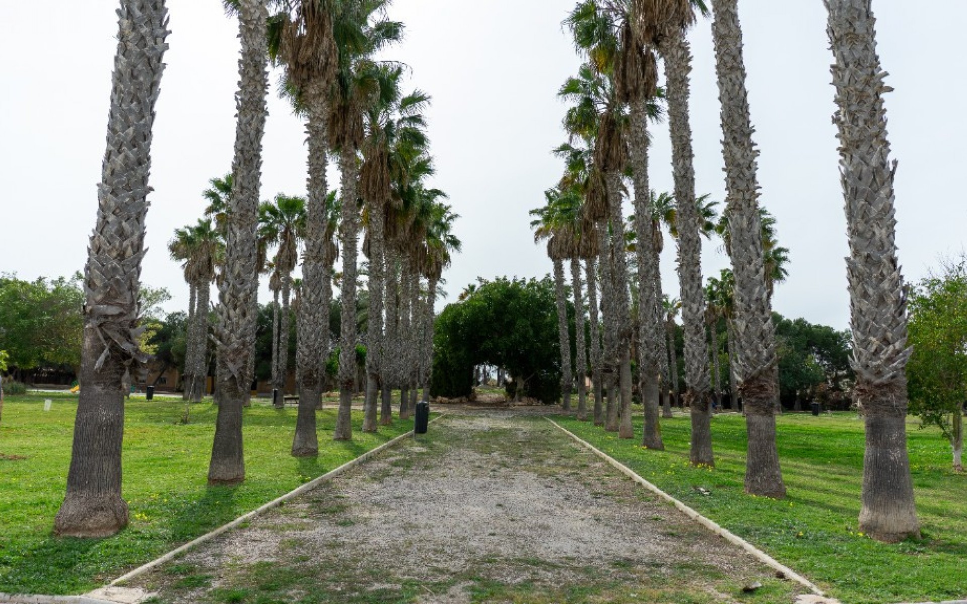 A Vendre - Villa - Orihuela - Los Altos