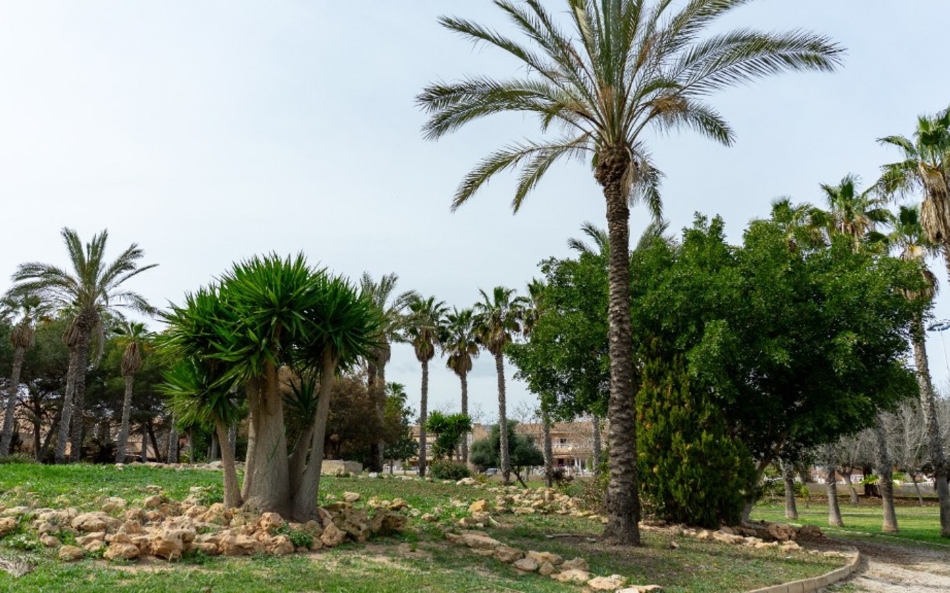 A Vendre - Villa - Orihuela - Los Altos
