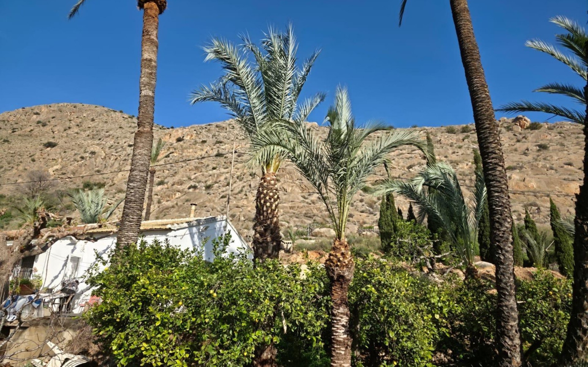 A Vendre - Villa - Orihuela - Orihuela Centro