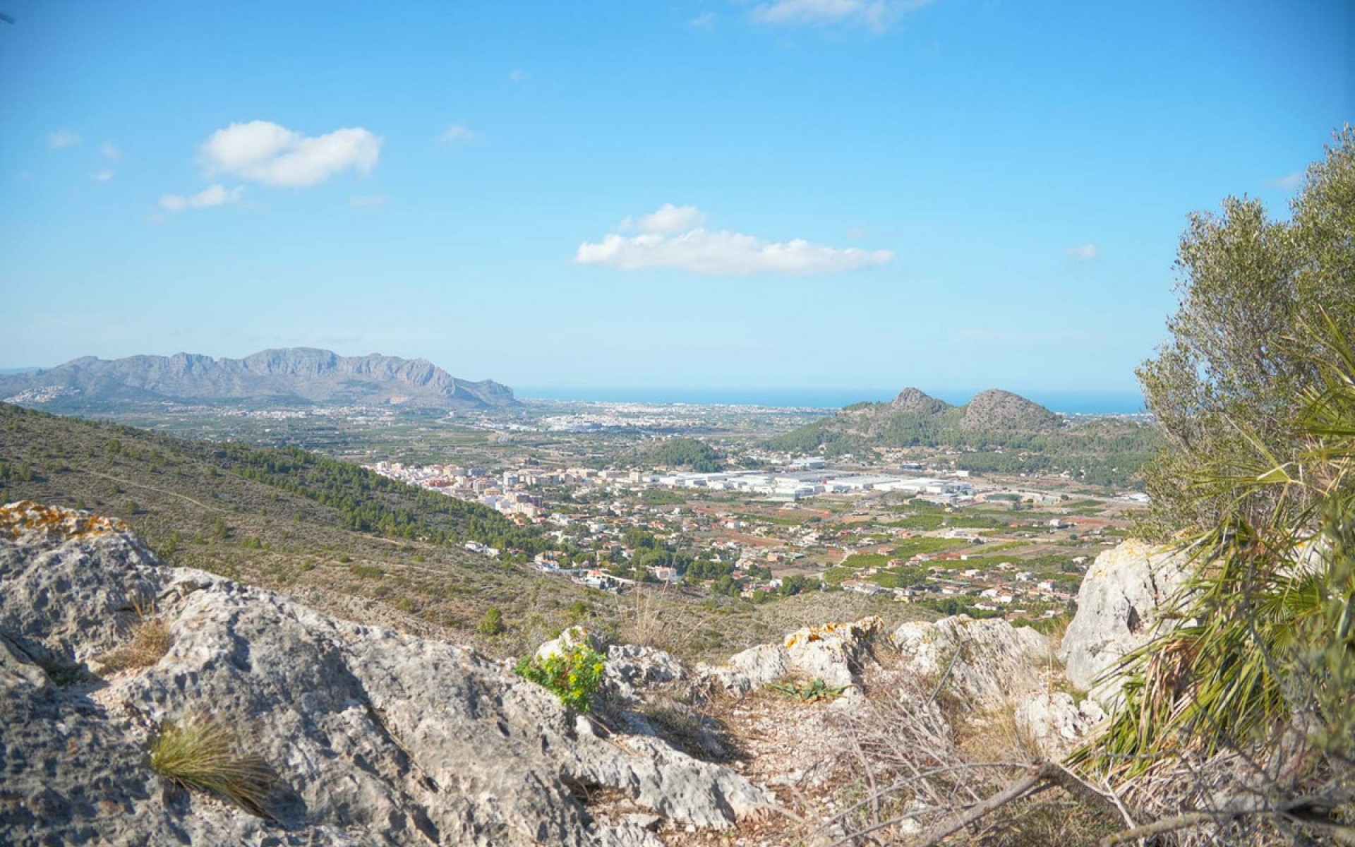 A Vendre - Villa - Pedreguer - Pedreguer Centro