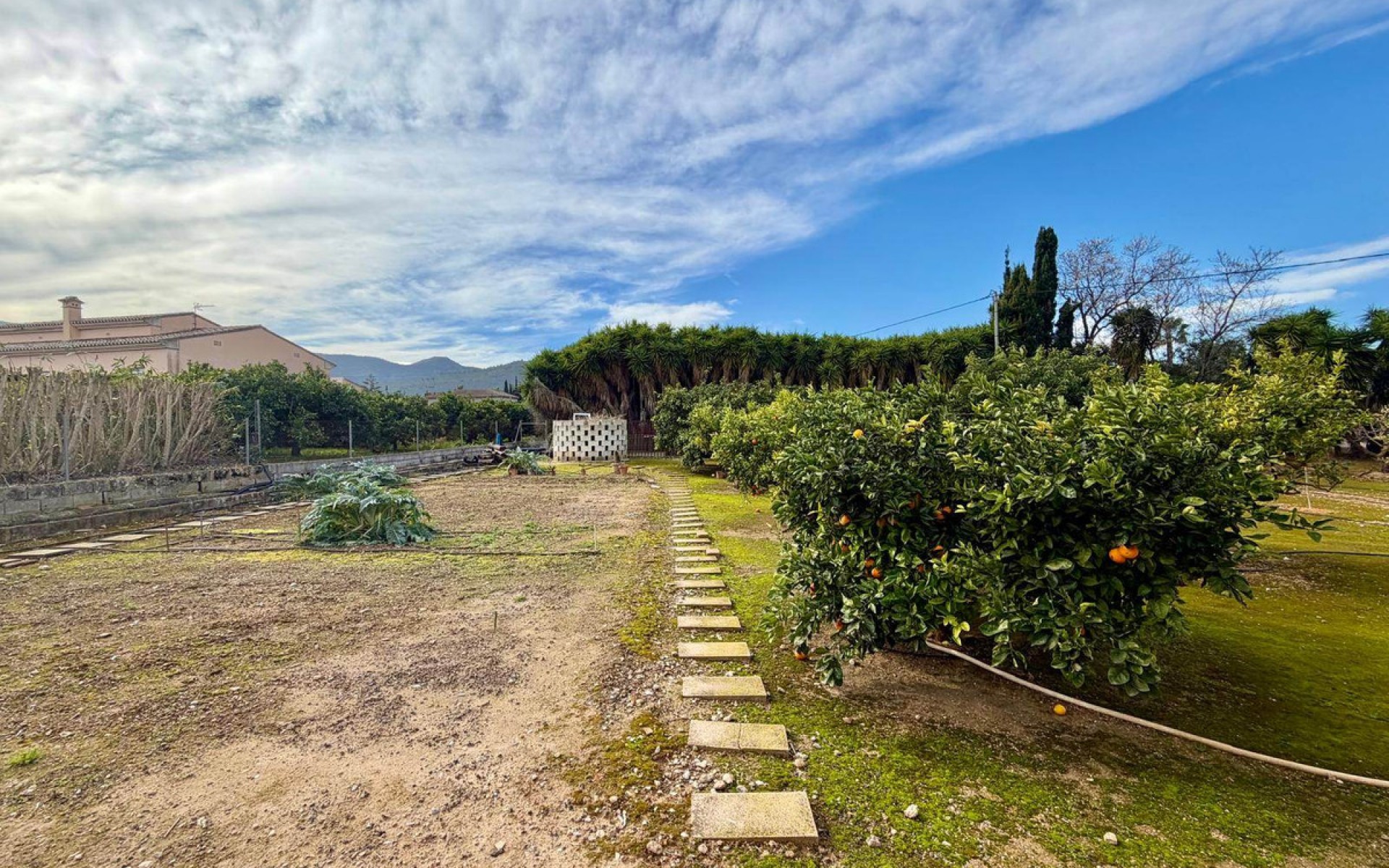 A Vendre - Villa - Pedreguer - Pedreguer Centro