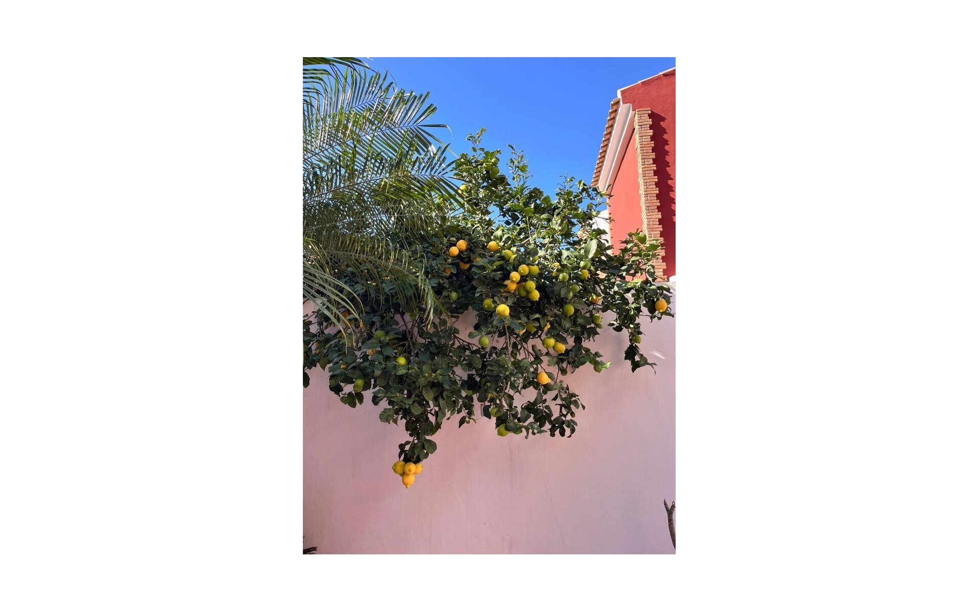 A Vendre - Villa - Pilar de la Horadada - Torre de la Horadada