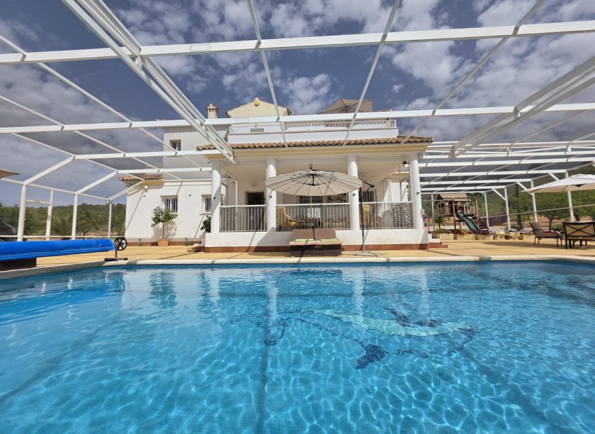 A Vendre - Villa - Pinoso - Lel