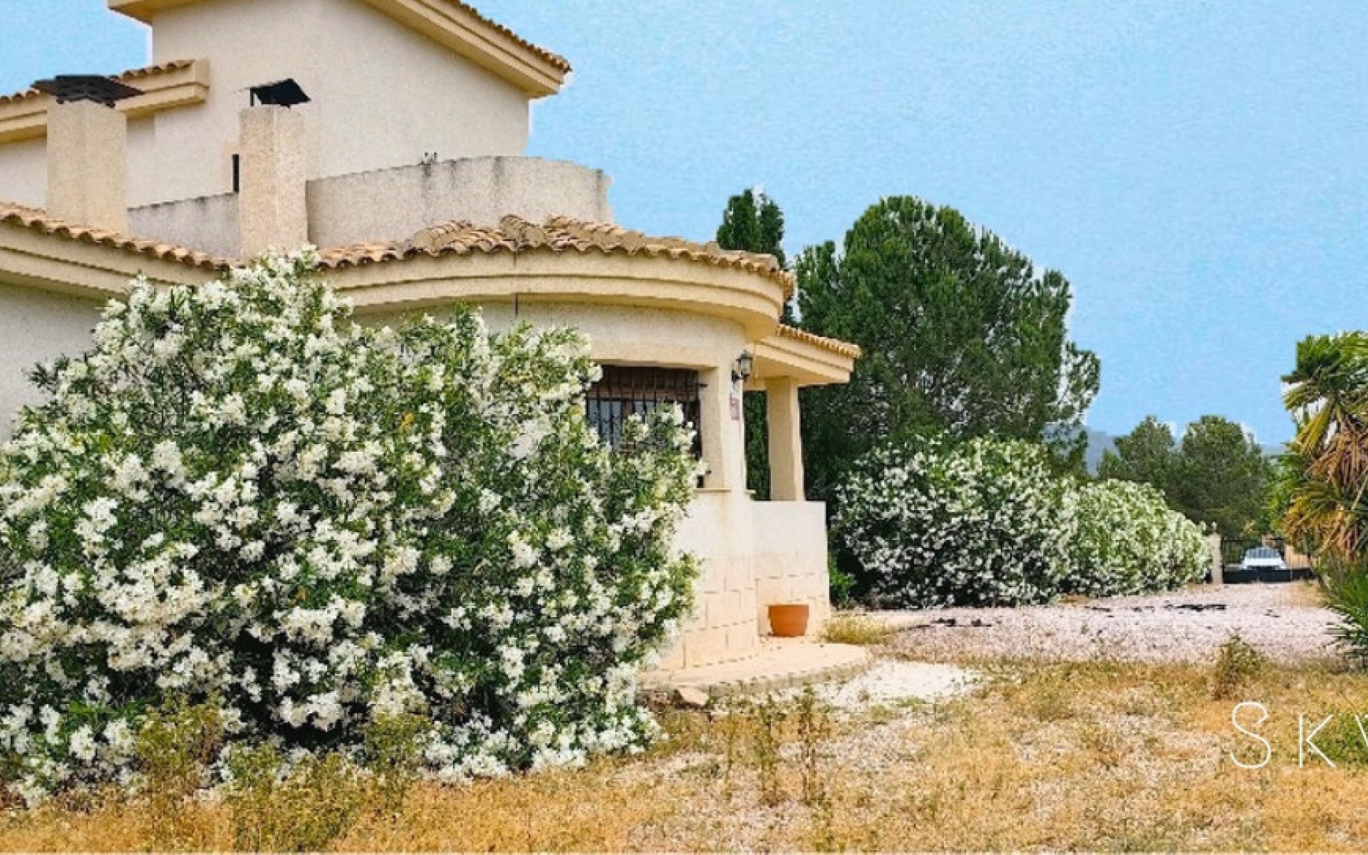 A Vendre - Villa - Pinoso - Pinoso Centro