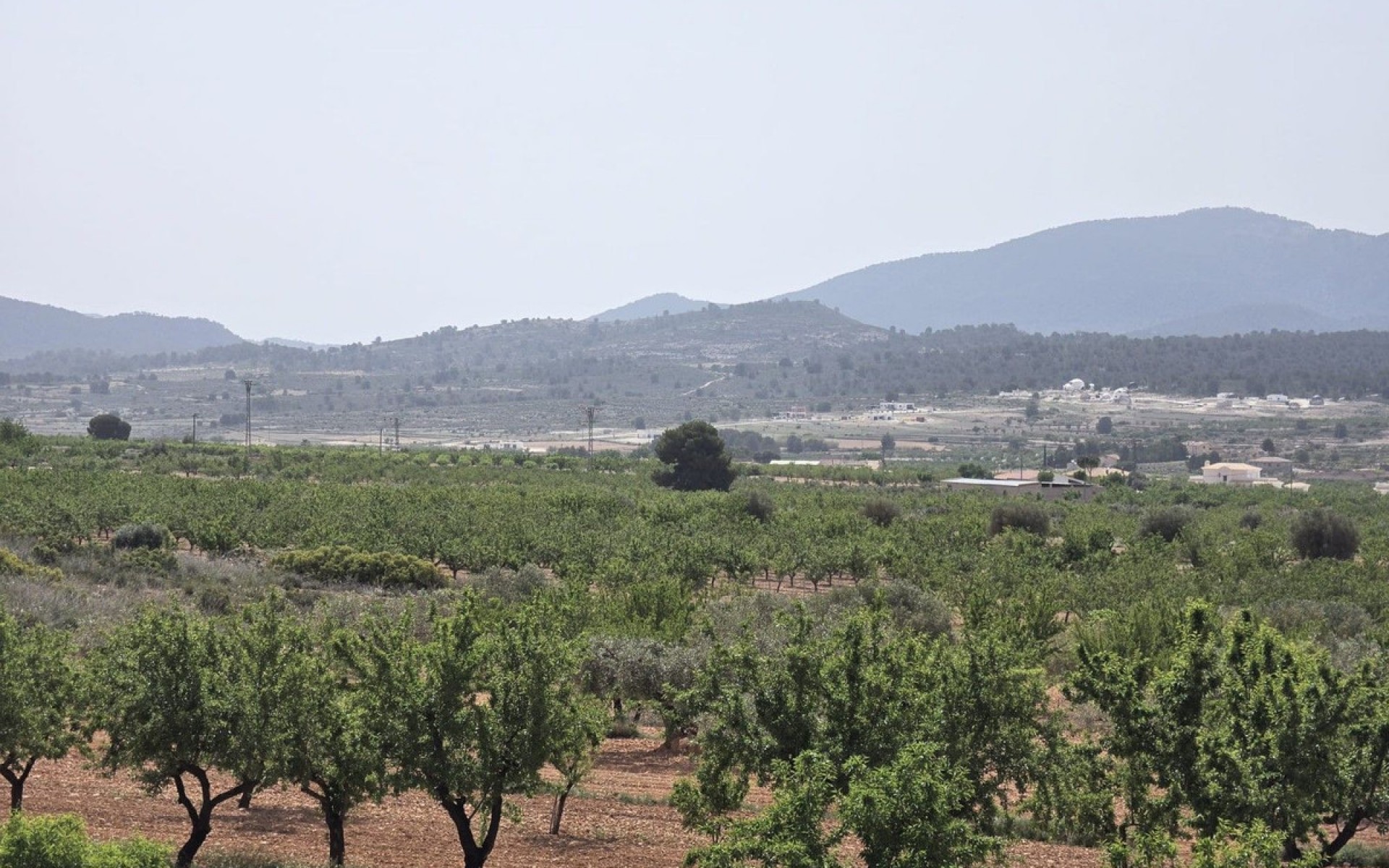 A Vendre - Villa - Pinoso - Pinoso Centro